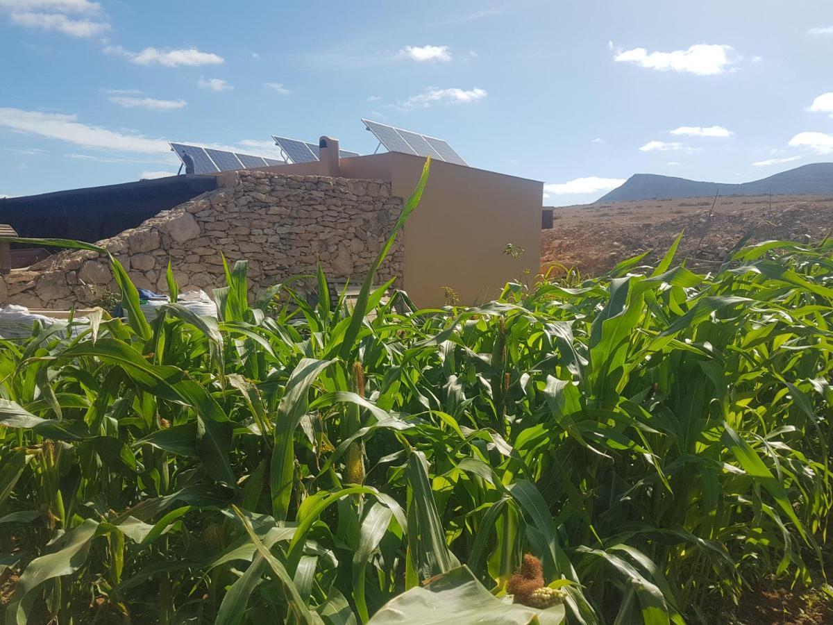 Villa La Vista De Tefía Eksteriør billede